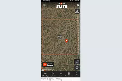 262 Off Noseeum, Williams, AZ 86046 - Photo 5