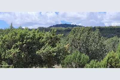 262 Off Noseeum, Williams, AZ 86046 - Photo 3