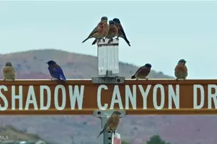 661 Shadow Canyon Dr, Clarkdale, AZ 86324 - Photo 55