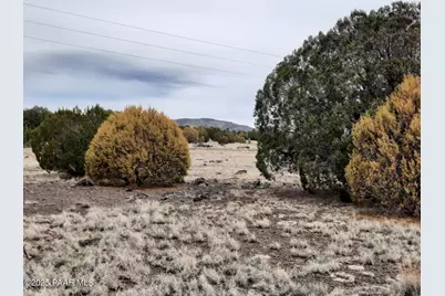 Lot 1359 Off Last Chance Rd, Seligman, AZ 86337 - Photo 7