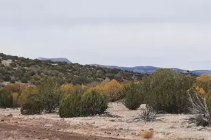 Lot 1359 Off Last Chance Rd, Seligman, AZ 86337 - Photo 1