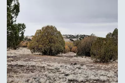 Lot 1359 Off Last Chance Rd, Seligman, AZ 86337 - Photo 11