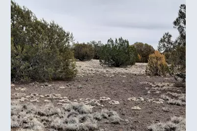 Lot 1359 Off Last Chance Rd, Seligman, AZ 86337 - Photo 1