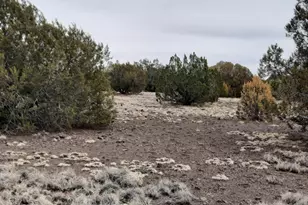 Lot 1359 Off Last Chance Rd, Seligman, AZ 86337 - Photo 1