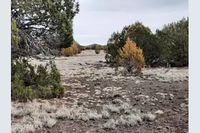 Lot 1359 Off Last Chance Rd, Seligman, AZ 86337 - Photo 3