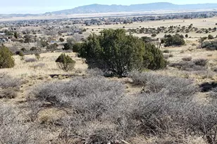 Lot 507 Smoki Trail, Chino Valley, AZ 86323 - Photo 1