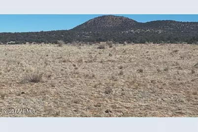 00 SE Double Back Drive, Seligman, AZ 86337 - Photo 5