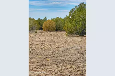 01 Skedaddle, Seligman, AZ 86337 - Photo 5