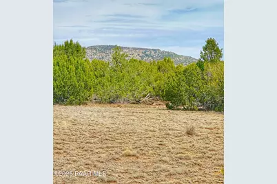 01 Skedaddle, Seligman, AZ 86337 - Photo 3