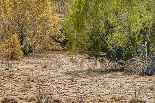 01 Skedaddle, Seligman, AZ 86337 - Photo 1