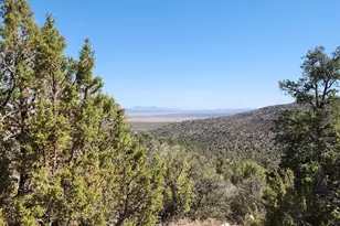 Lot 1 Big View, Ash Fork, AZ 86320 - Photo 1