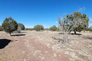 3597 Boone Trail, Ash Fork, AZ 86046 - Photo 53