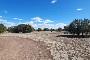 3597 Boone Trail, Ash Fork, AZ 86046 - Photo 49