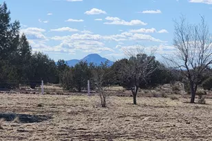 3597 Boone Trail, Ash Fork, AZ 86046 - Photo 45