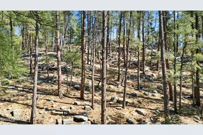 5455 E Big Bug Mesa Road, Prescott, AZ 86303 - Photo 21