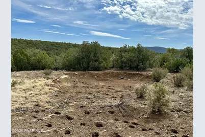 Lot 841 N Critter Gultch, Seligman, AZ 86337 - Photo 3