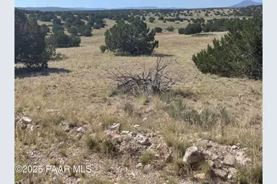 37925 W Raptor Road, Seligman, AZ 86337 - Photo 5