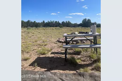 37925 W Raptor Road, Seligman, AZ 86337 - Photo 3