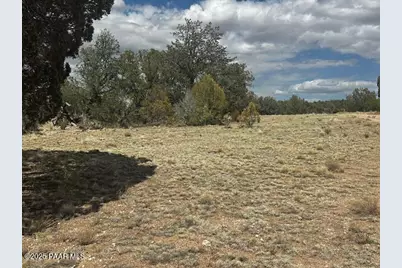 00 Antler Trail, Seligman, AZ 86337 - Photo 3