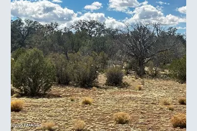 00 Antler Trail, Seligman, AZ 86337 - Photo 9