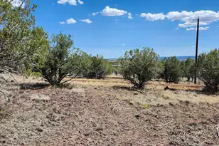 467 W Edgewood Dr, Williams, AZ 86046 - Photo 9