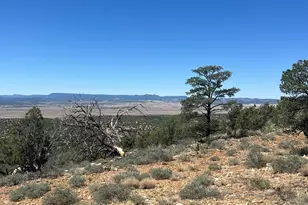 295 Old Deputy Shortline, Ash Fork, AZ 86320 - Photo 1