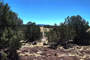 408 Inez Dr, Williams, AZ 86046 - Photo 23