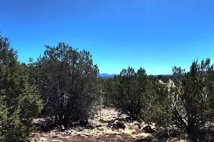 408 Inez Dr, Williams, AZ 86046 - Photo 25