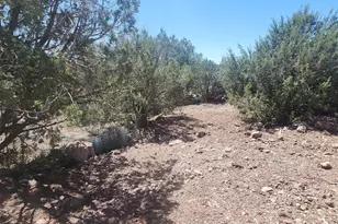 408 Inez Dr, Williams, AZ 86046 - Photo 21