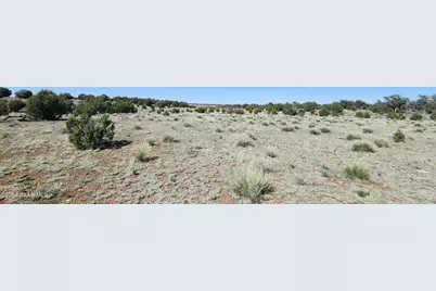 690 Westwood Ranch, Ash Fork, AZ 86320 - Photo 9