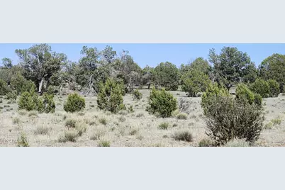 690 Westwood Ranch, Ash Fork, AZ 86320 - Photo 3