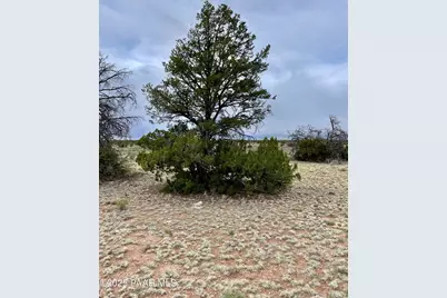 3998 Red Butte Road, Williams, AZ 86046 - Photo 13