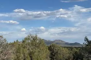 16432 Incline Trl, Williams, AZ 86046 - Photo 73