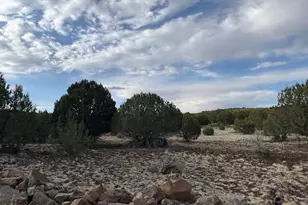 16432 Incline Trl, Williams, AZ 86046 - Photo 61