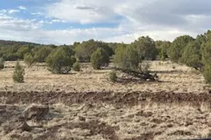 16432 Incline Trl, Williams, AZ 86046 - Photo 63