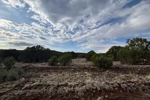 16432 Incline Trl, Williams, AZ 86046 - Photo 65