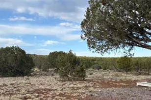 16432 Incline Trl, Williams, AZ 86046 - Photo 59