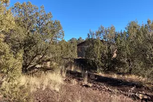 2373 Roberts Rd, Williams, AZ 86046 - Photo 27