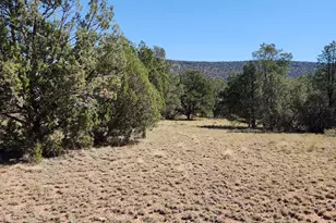 36950 W Avenida Del Destino, Seligman, AZ 86337 - Photo 63