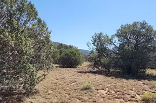 36950 W Avenida Del Destino, Seligman, AZ 86337 - Photo 61