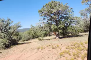 36950 W Avenida Del Destino, Seligman, AZ 86337 - Photo 59