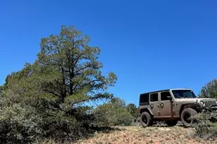 307 Off Of Old Deputy Shortline, Ash Fork, AZ 86320 - Photo 1