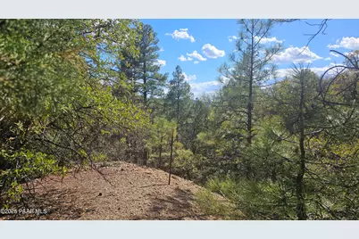 9.69 Acres Forest Service Road 132, Prescott Valley, AZ 86315 - Photo 33