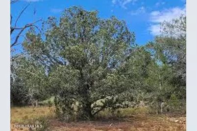 970 Westwood Ranch, Williams, AZ 86046 - Photo 5