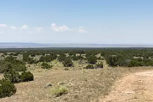 6379 County Rd 61N, Saint Johns, AZ 85936 - Photo 23