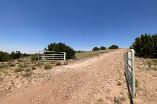 6379 County Rd 61N, Saint Johns, AZ 85936 - Photo 29