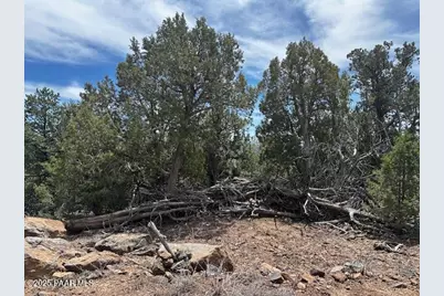 00 Shiloh Road, Seligman, AZ 86337 - Photo 27