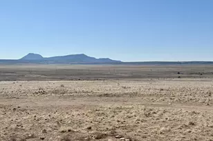 51880 N Gold Plains Rd, Seligman, AZ 86337 - Photo 15