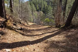 8280 S Breezy Pine Rd, Mayer, AZ 86333 - Photo 15