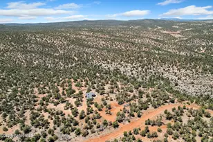 42884 N Purcell Canyon Dr, Seligman, AZ 86337 - Photo 31